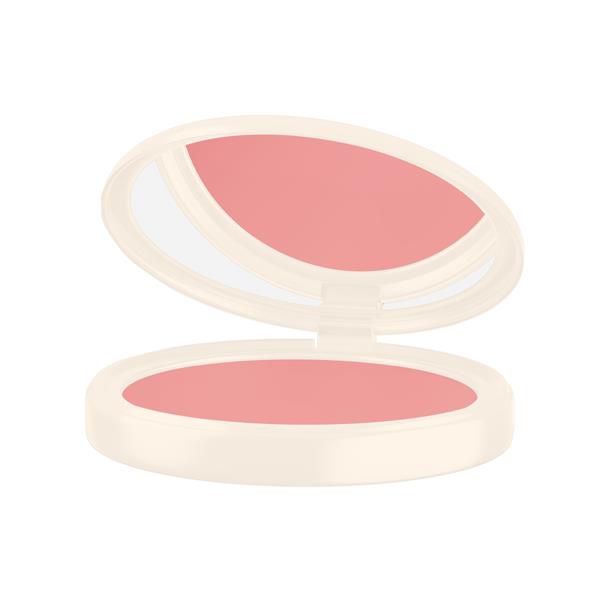 Powder Blusher