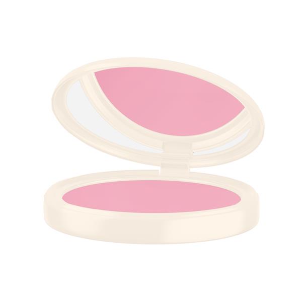 Powder Blusher